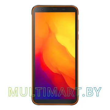 Смартфон Blackview BV6300 (оранжевый) картинка 2